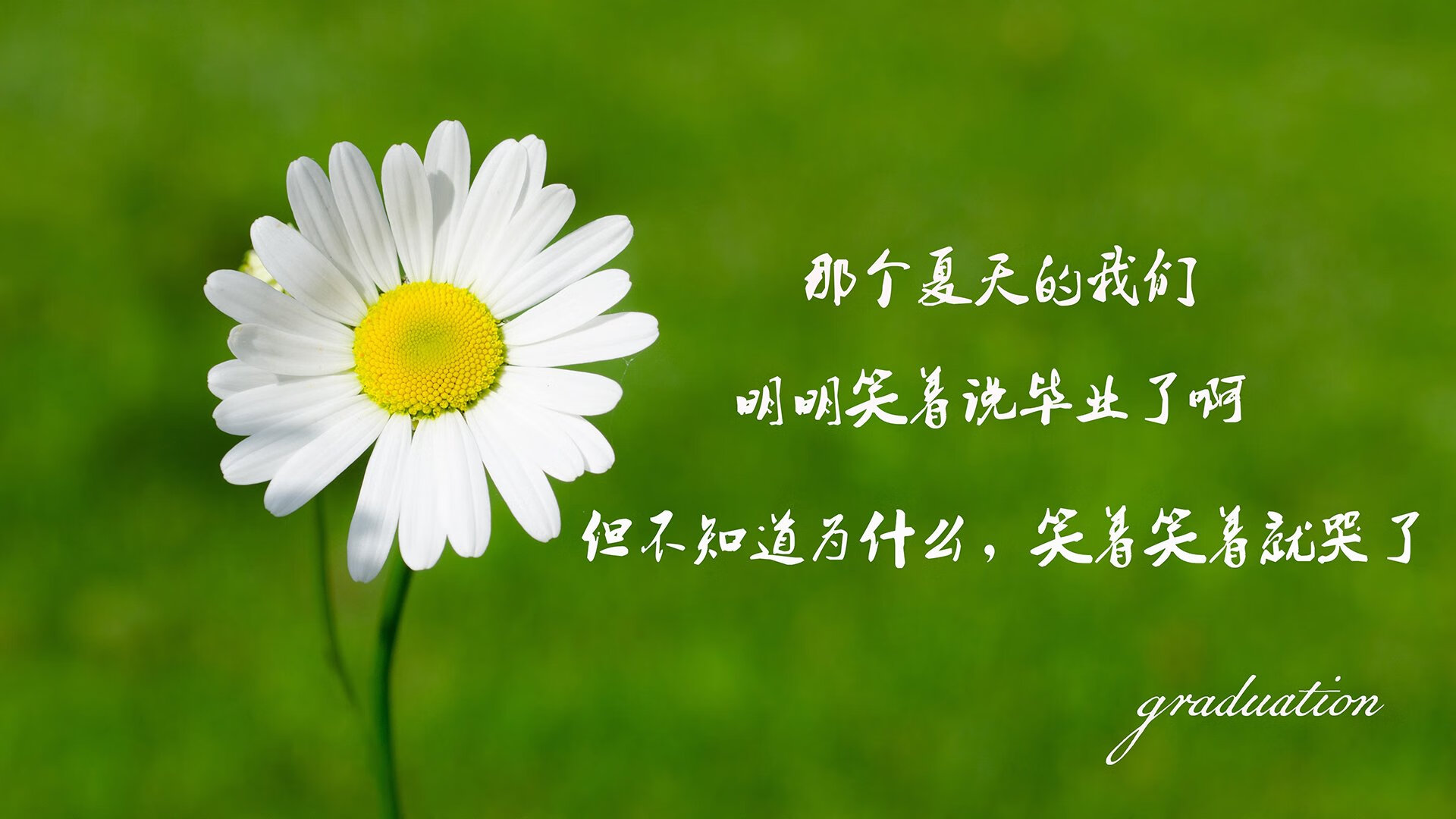 乐鱼官网-勒沃库森防线表现稳健，勒沃库森球员图片