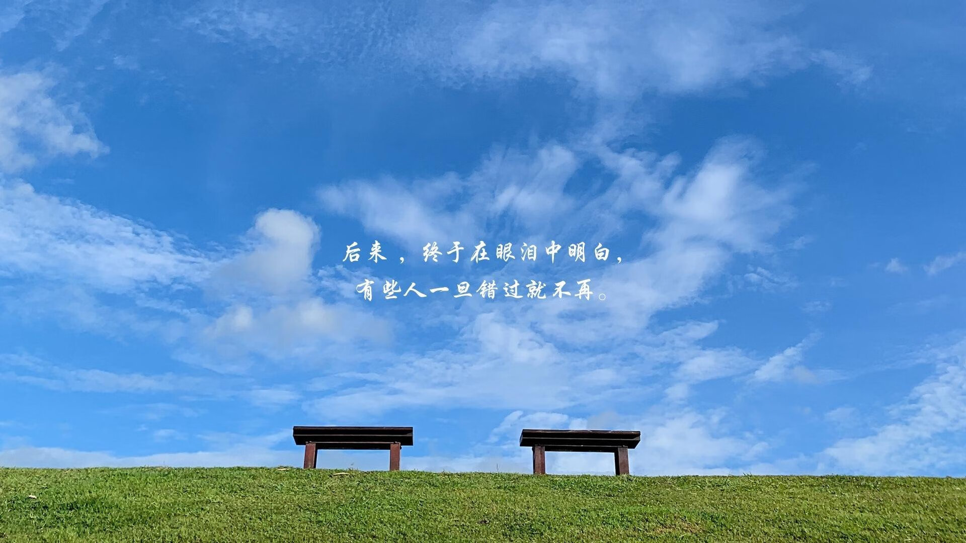 Leyu Sport下载-美国马术协会与兽医合作，开展马匹疾病预防与治疗研究。，美国马术金牌