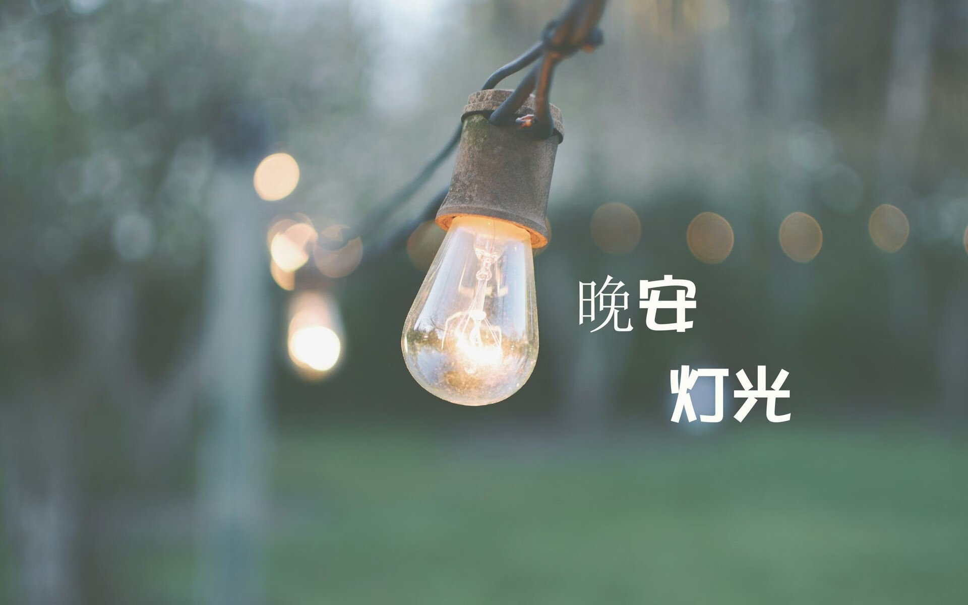 乐鱼电竞在线平台-美国马术协会与大学合作，开展马术专业课程，培养专业人才。，美国马术协会polo