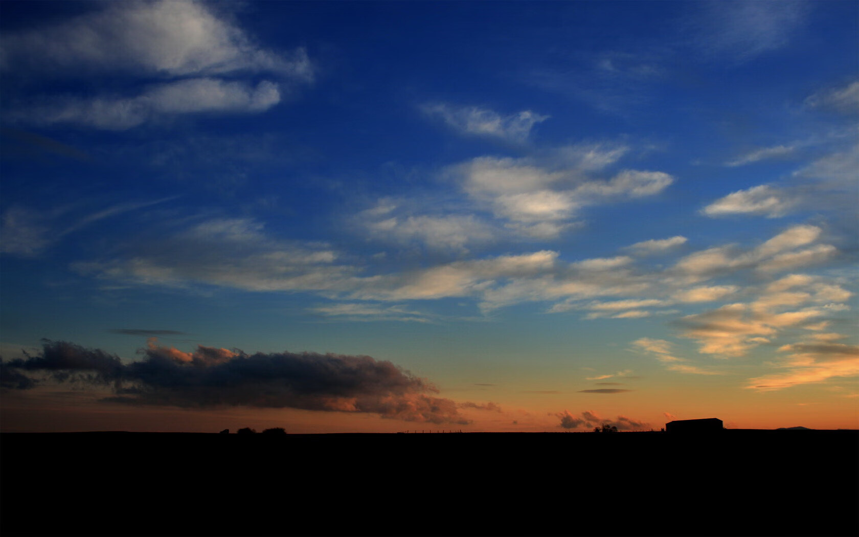 波兰蝶泳选手节奏精准有力,波兰泳协