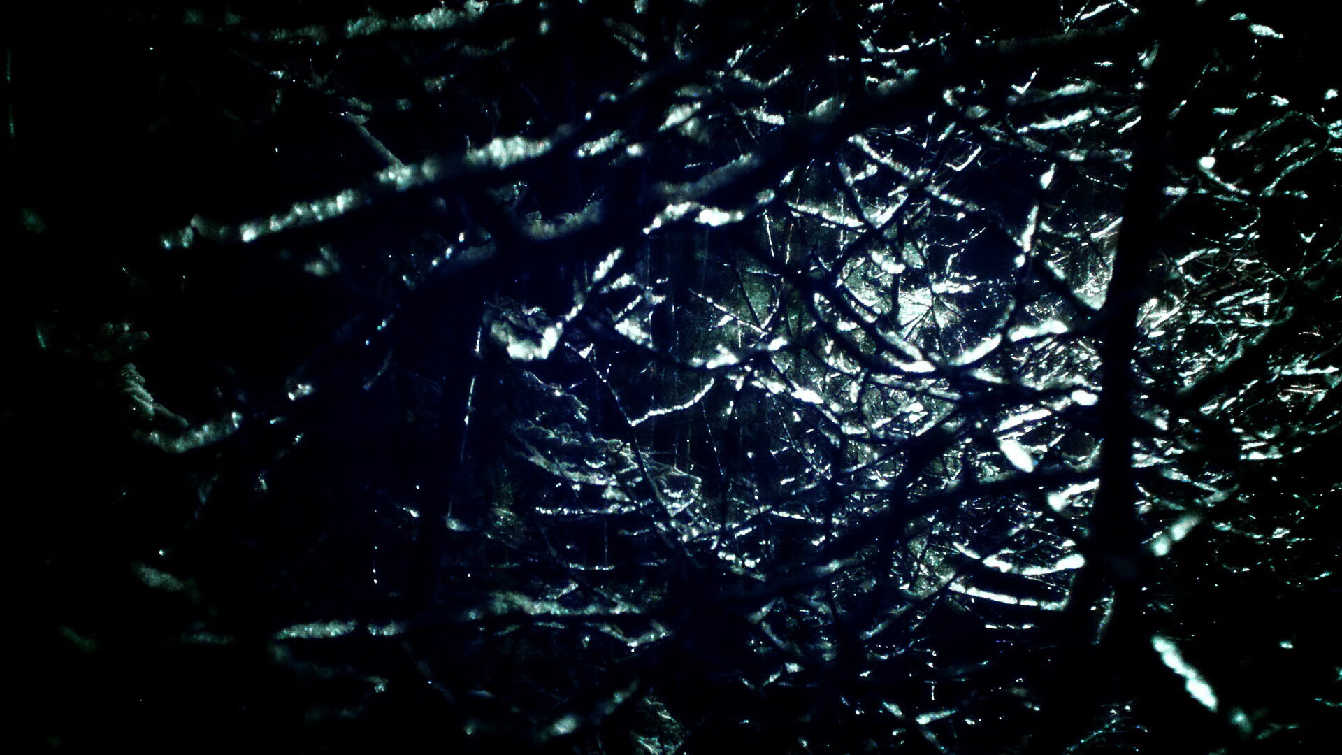 瑞士蝶泳新秀挑战赛场,蝶泳教练凯瑞